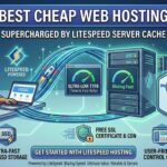 best cheap web hosting with Litespeed server cache